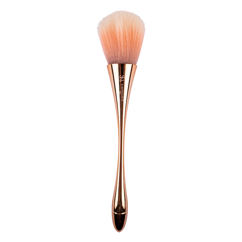Brosse dépoussiérante